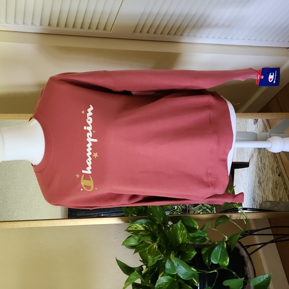 Champion Pullover Sweatshirt in Sandalwood NWT!